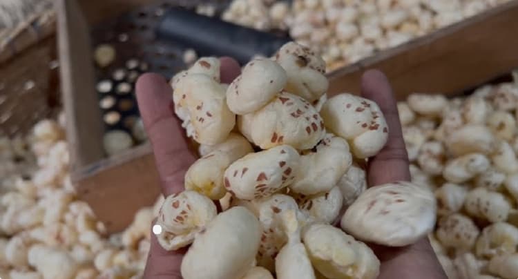 Katihar News : कोढ़ा के किसानों को समृद्ध कर रहा 'सफेद सोना'