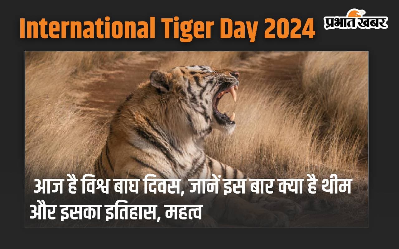 International Tiger Day 2024: आज है विश्व बाघ दिवस, जानें इस बार क्या है थीम और इसका इतिहास, महत्व