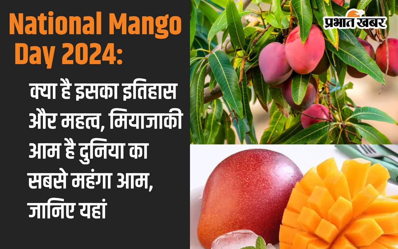 National Mango Day 2024: What is its history and importance, Miyazaki mango is the most expensive mango in the world, know here