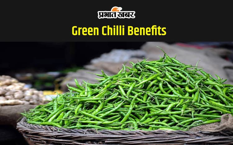 Green Chilli Benefits: हरी मिर्च सेहत के लिए क्यों है फायदेमंद, लेकिन खाने में न करें ऐसी गलती
