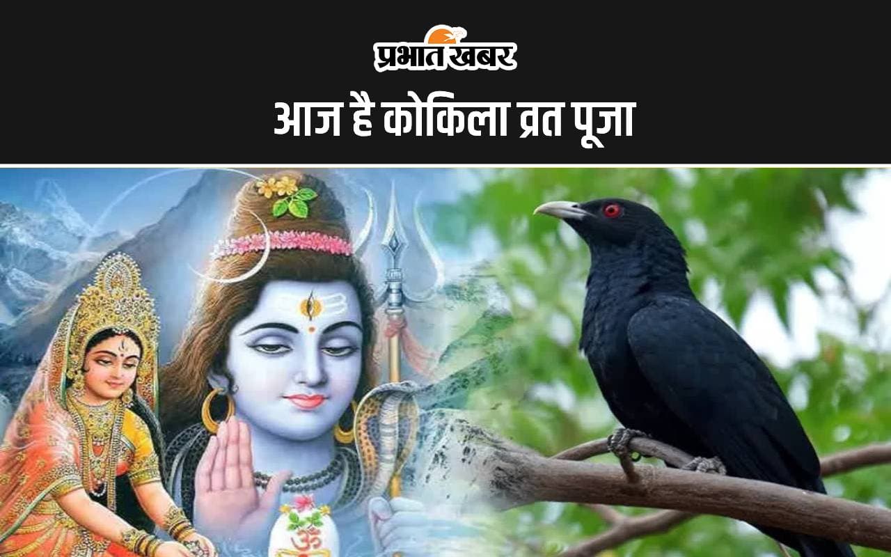 Kokila Vrat 2024: शादी-विवाह में आ रही बाधाएं तो आज करें कोकिला व्रत पूजा, जानें शुभ मुहूर्त, पूजा विधि और कथा