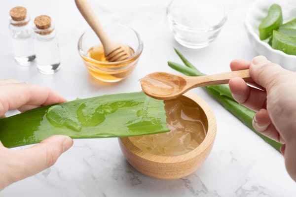 DIY aloe vera hair mask : ग्लोइश हेयर पाने के लिए अब घर पर ही बना सकते है एलोवेरा हेयर मास्क, जानिए विधि