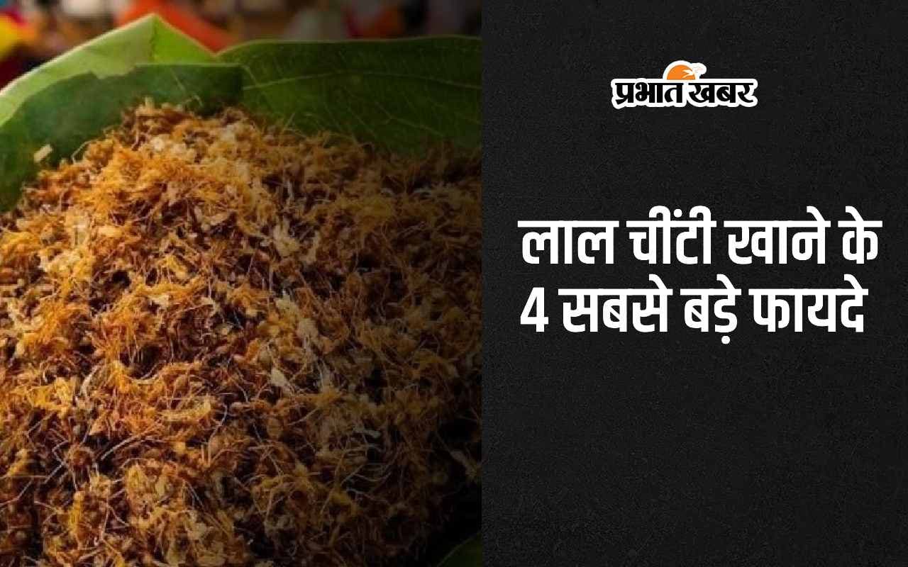 Red Ant Chutney: लाल चींटी की चटनी खाने के 4 सबसे बड़े फायदे