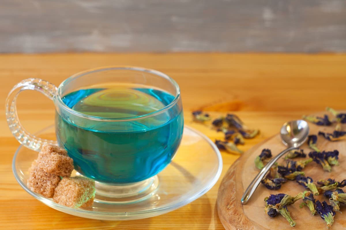 Aparajita Flower Tea: सुबह में सभी पिएं अपराजिता के फूल की चाय, सेहत को मिलेंगे 6 सबसे बड़े फायदे