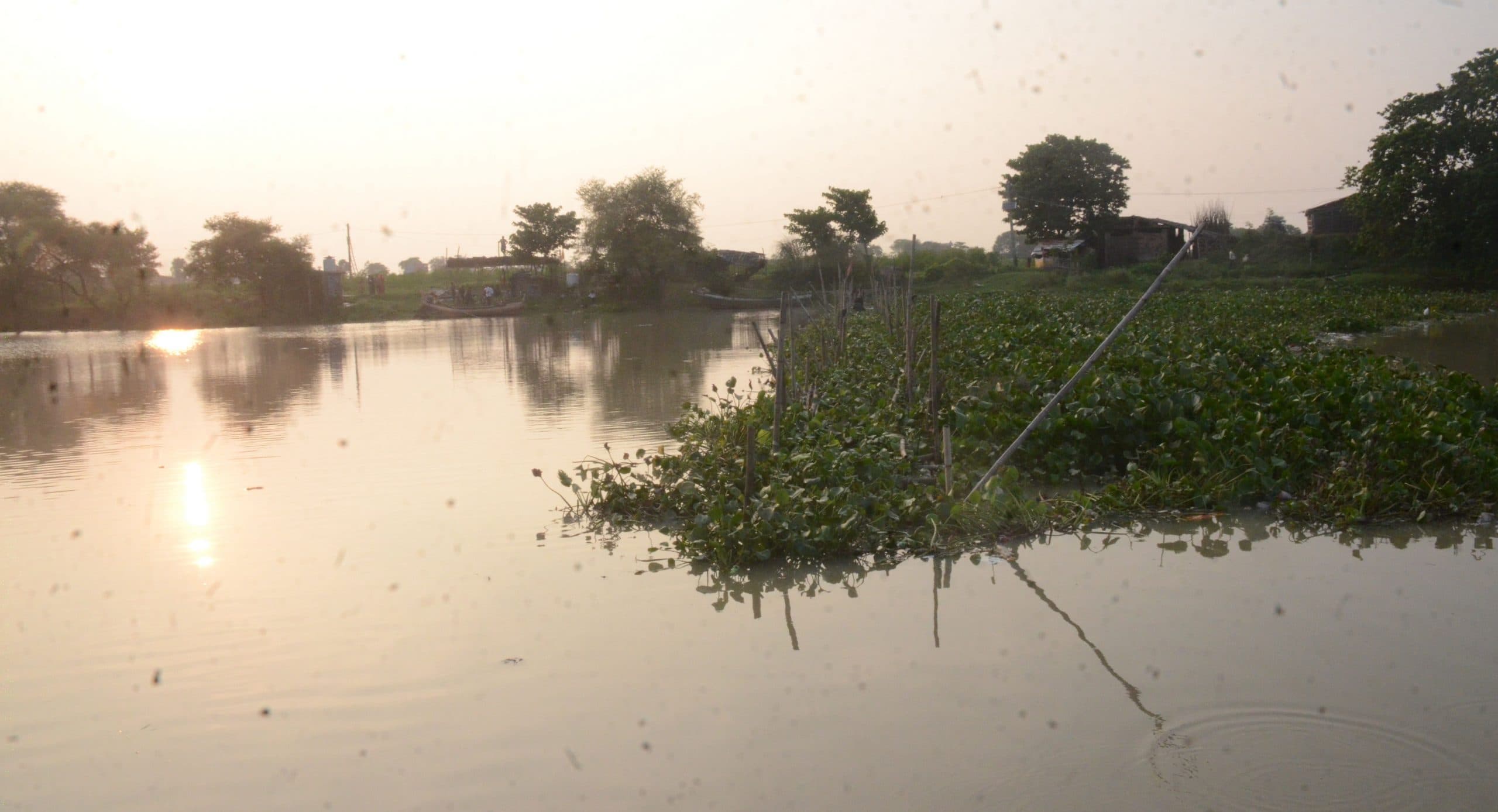 Bihar News: लगातार बढ़ रहा है गंगा का जलस्तर, नदी किनारे बसे इलाकों में बढ़ी परेशानी, लोग घर छोड़ने को मजबूर