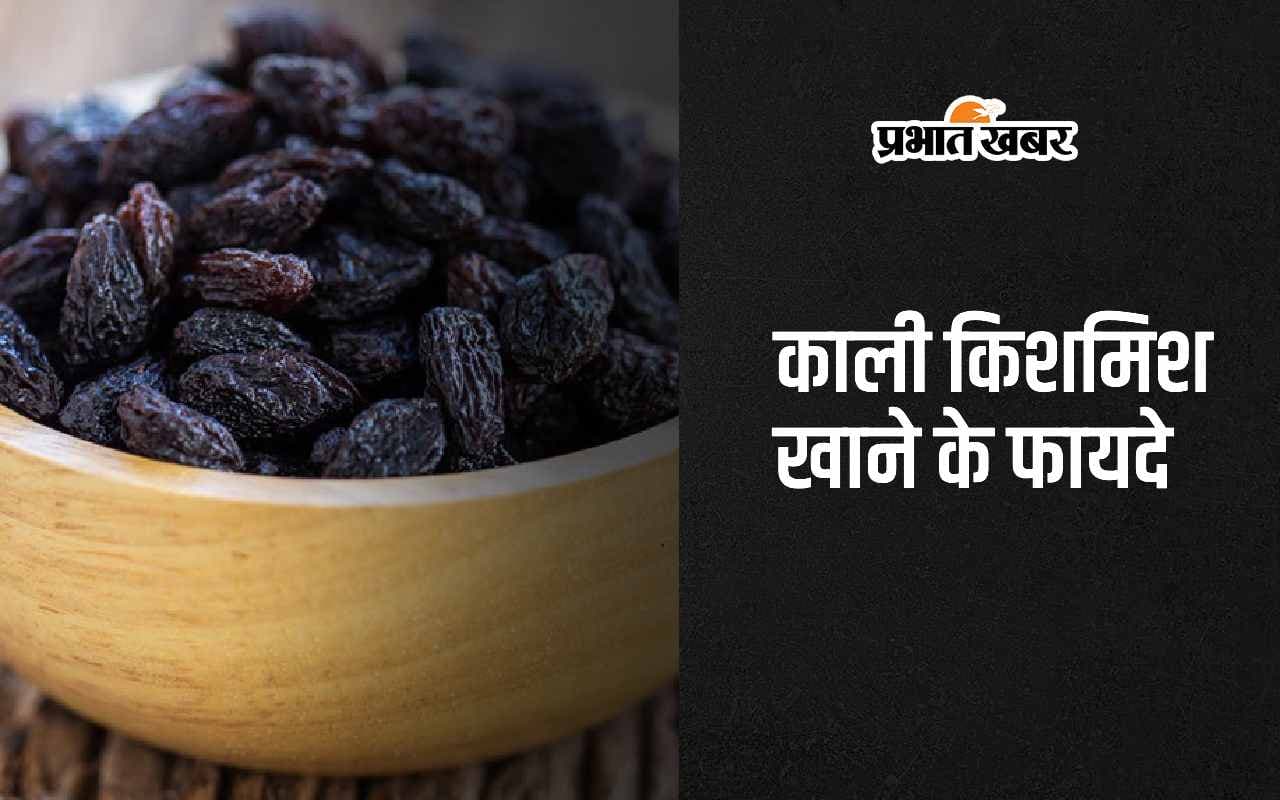 Black Raisins: काली किशमिश खाने के 5 सबसे बड़े फायदे यहां जानिए