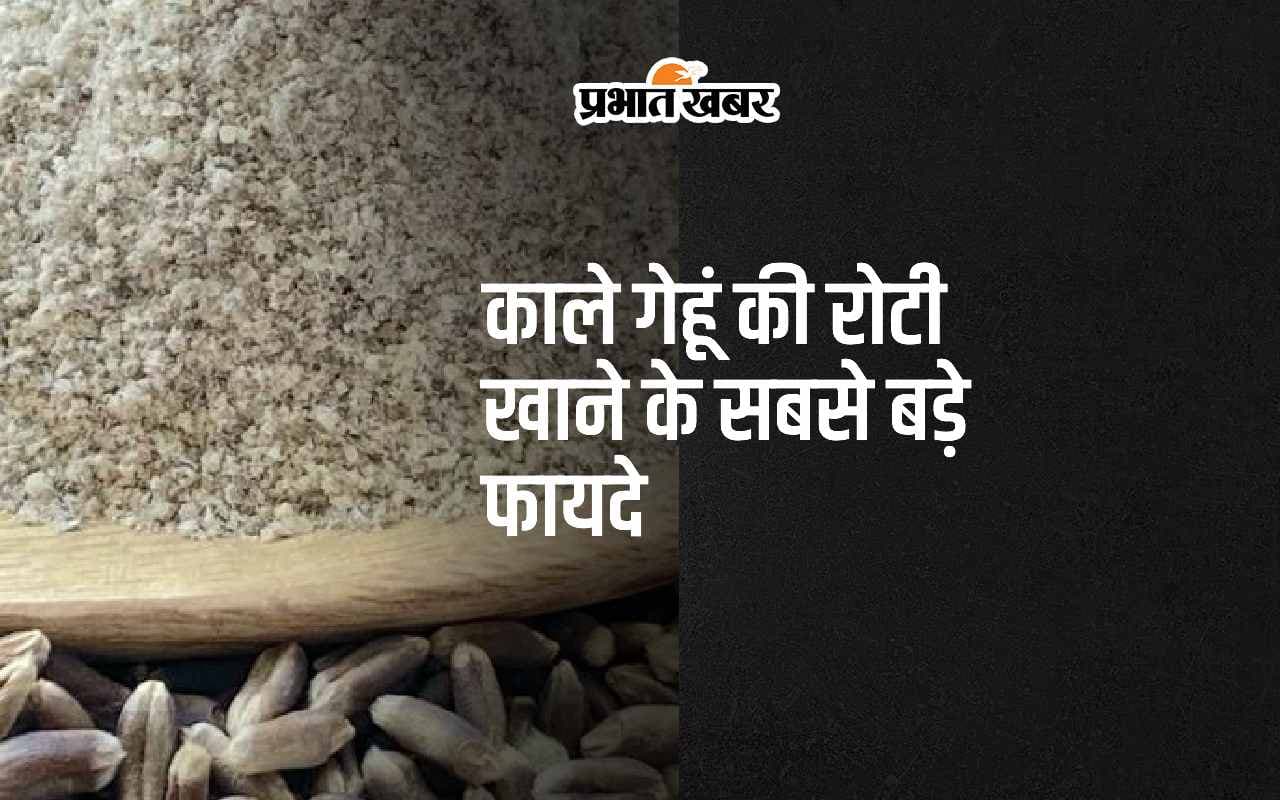 Black Wheat: काले गेहूं की बनी हुई रोटी खाने के ये हैं 5 सबसे बड़े फायदे