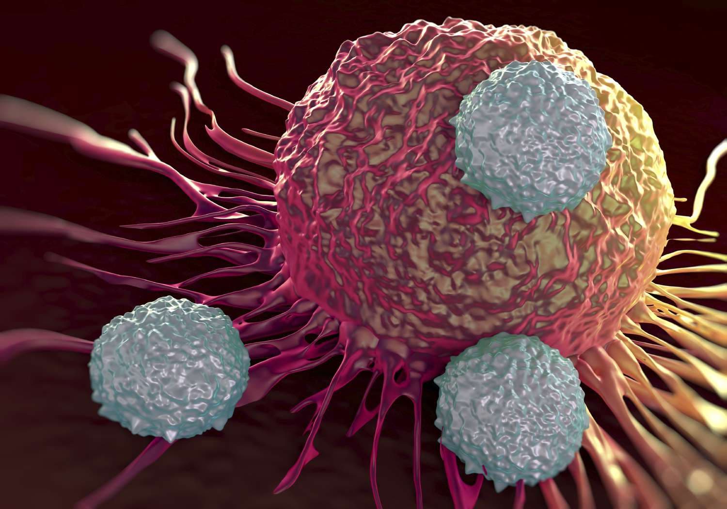 Cancer Disease :  कैंसर का खतरा पुरुषों और महिलाओं में से किसे है अधिक, यह जानिए
