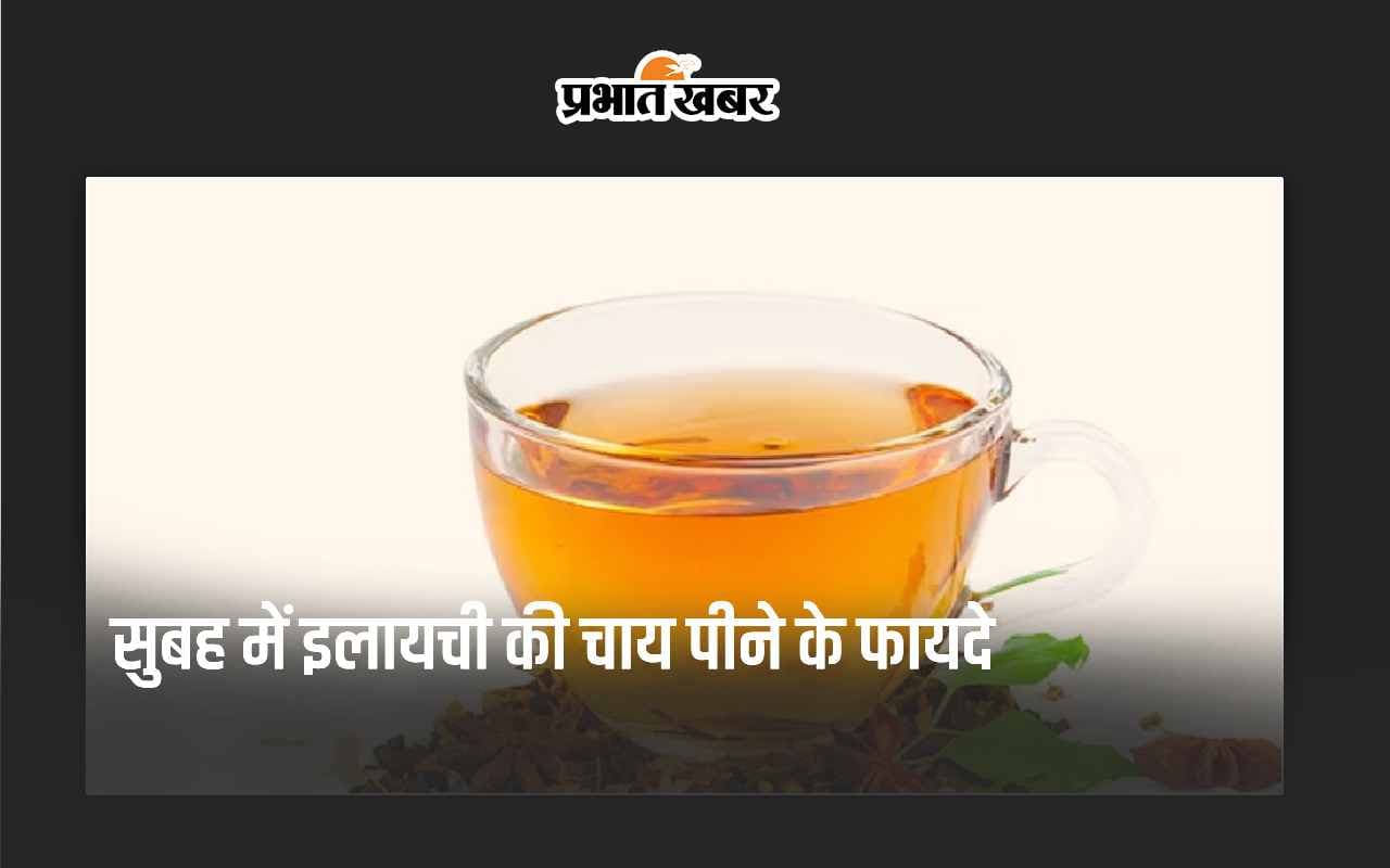 Cardamom Tea Benefits: सुबह में पिएं इलायची की चाय, सेहत को मिलेंगे 5 सबसे बड़े फायदे