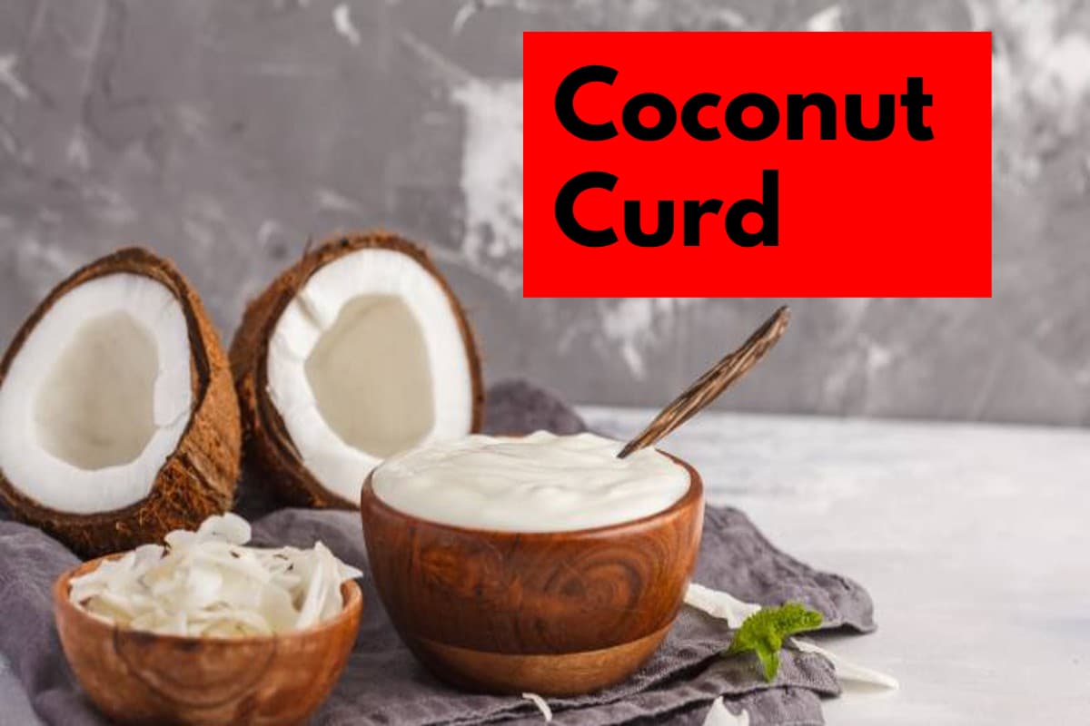 Coconut Curd: नारियल का दही खाने के 5 सबसे बड़े फायदे