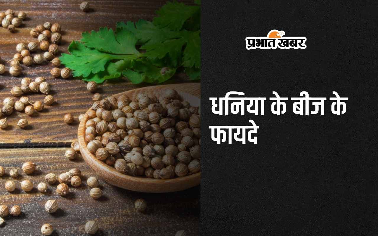 Coriander Seeds Benefits: धनिया के बीज में छिपा है सेहत का राज, जानिए इसे खाने के 4 सबसे बड़े फायदे