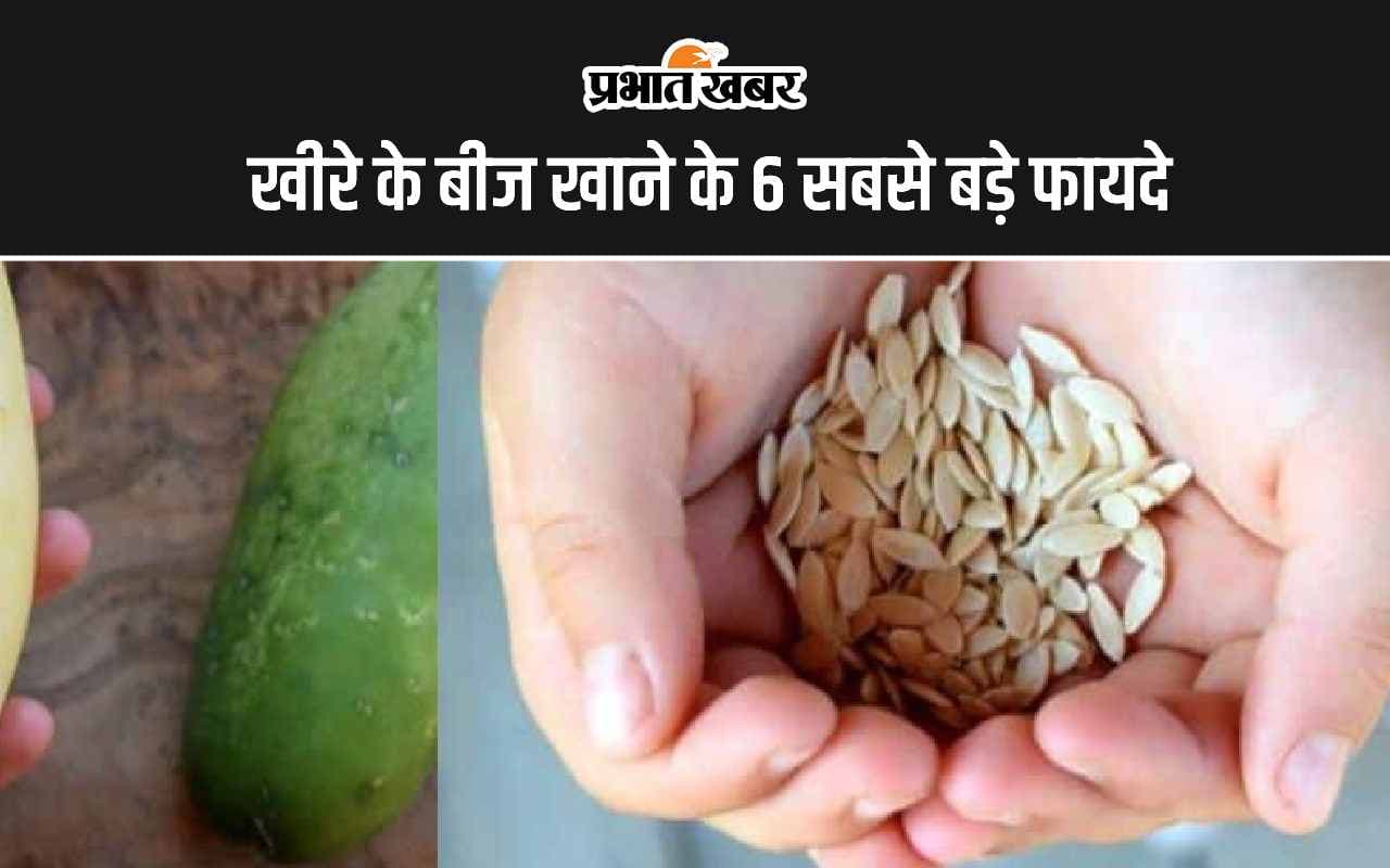 Cucumber Seeds: खीरे के बीज खाने के 6 सबसे बड़े फायदे