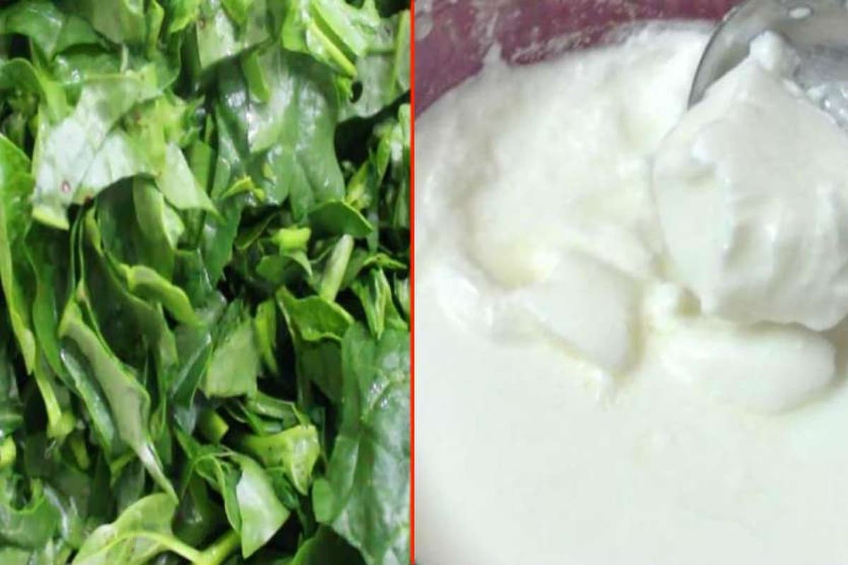 Curd and Greens in Sawan: सावन में क्यों नहीं खाना चाहिए दही और साग, जानिए इसके पीछे का वैज्ञानिक और धार्मिक कारण
