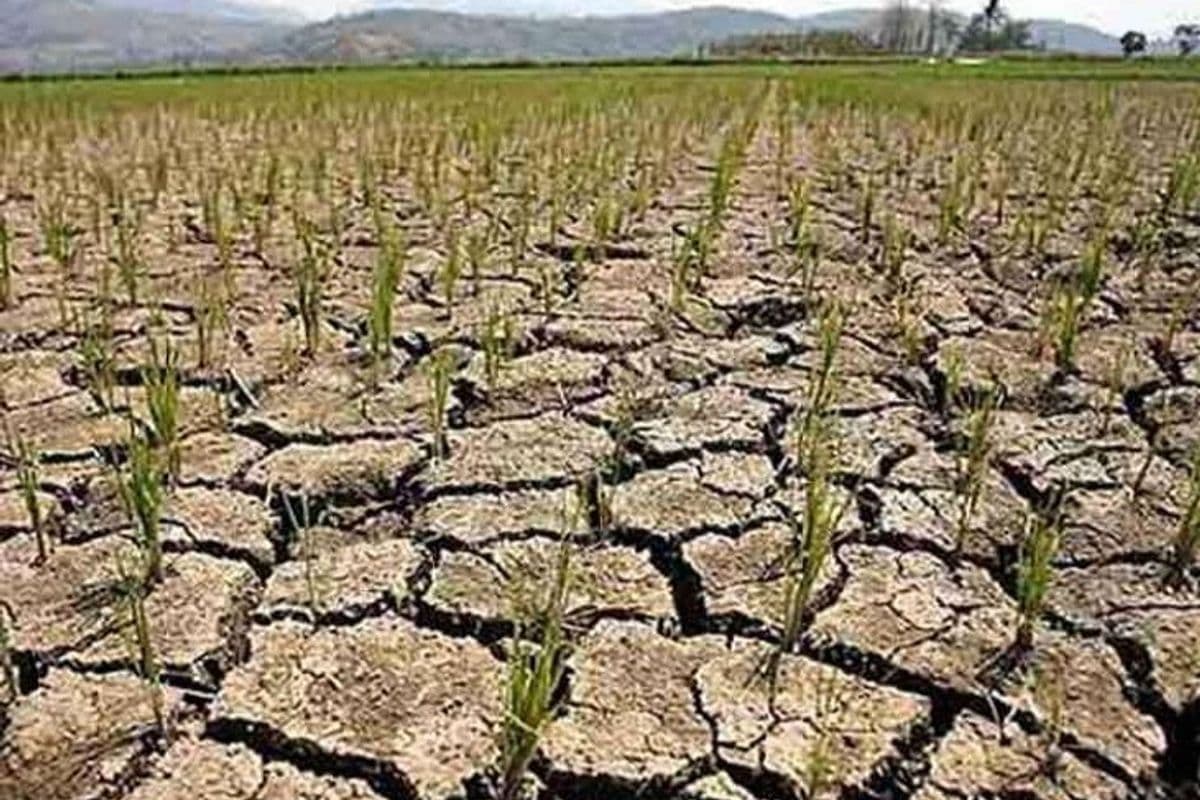 Drought in Jharkhand