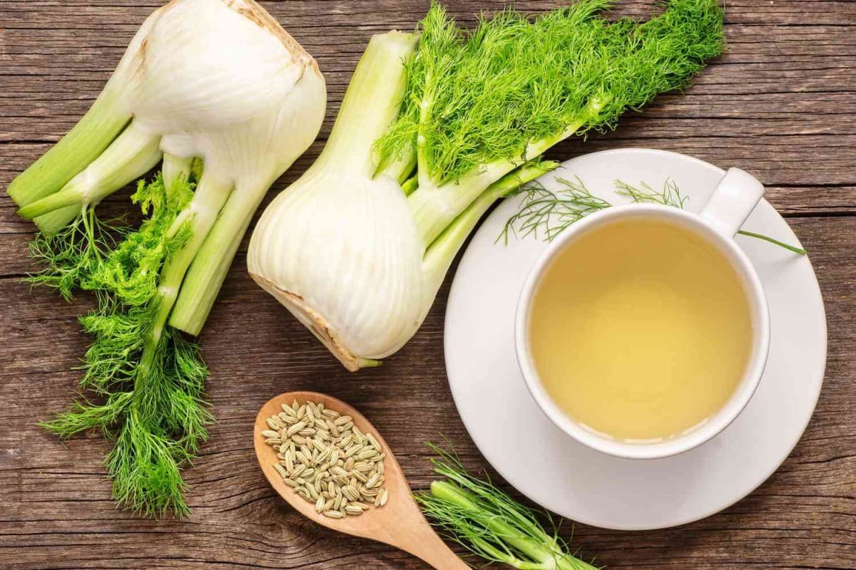 Fennel Tea: खाली पेट सौंफ की चाय पीने के 5 अद्भुत लाभ, जानें इसे बनाने का तरीका