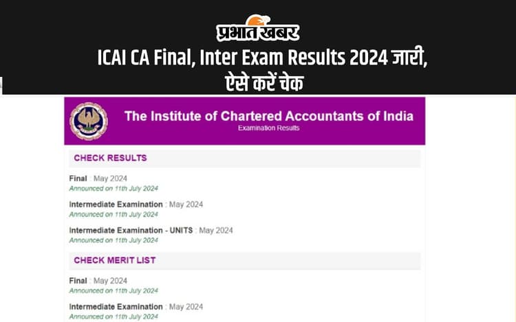 ICAI CA Final, Inter Exam Results 2024 जारी, देखें टॉपर्स लिस्ट