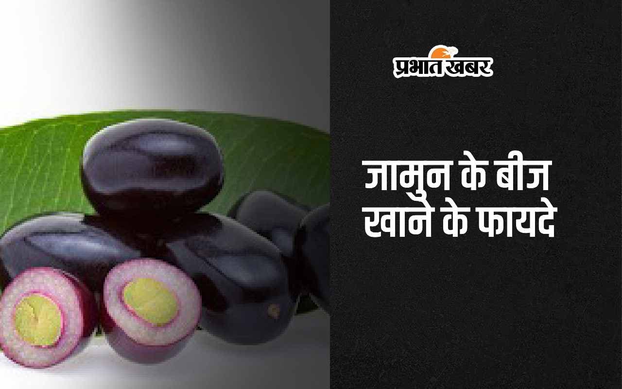 Jamun Seeds Benefits: जामुन के बीज में छिपे हैं सेहत के अनोखे राज, जानिए इसे खाने के 4 अद्भुत फायदे