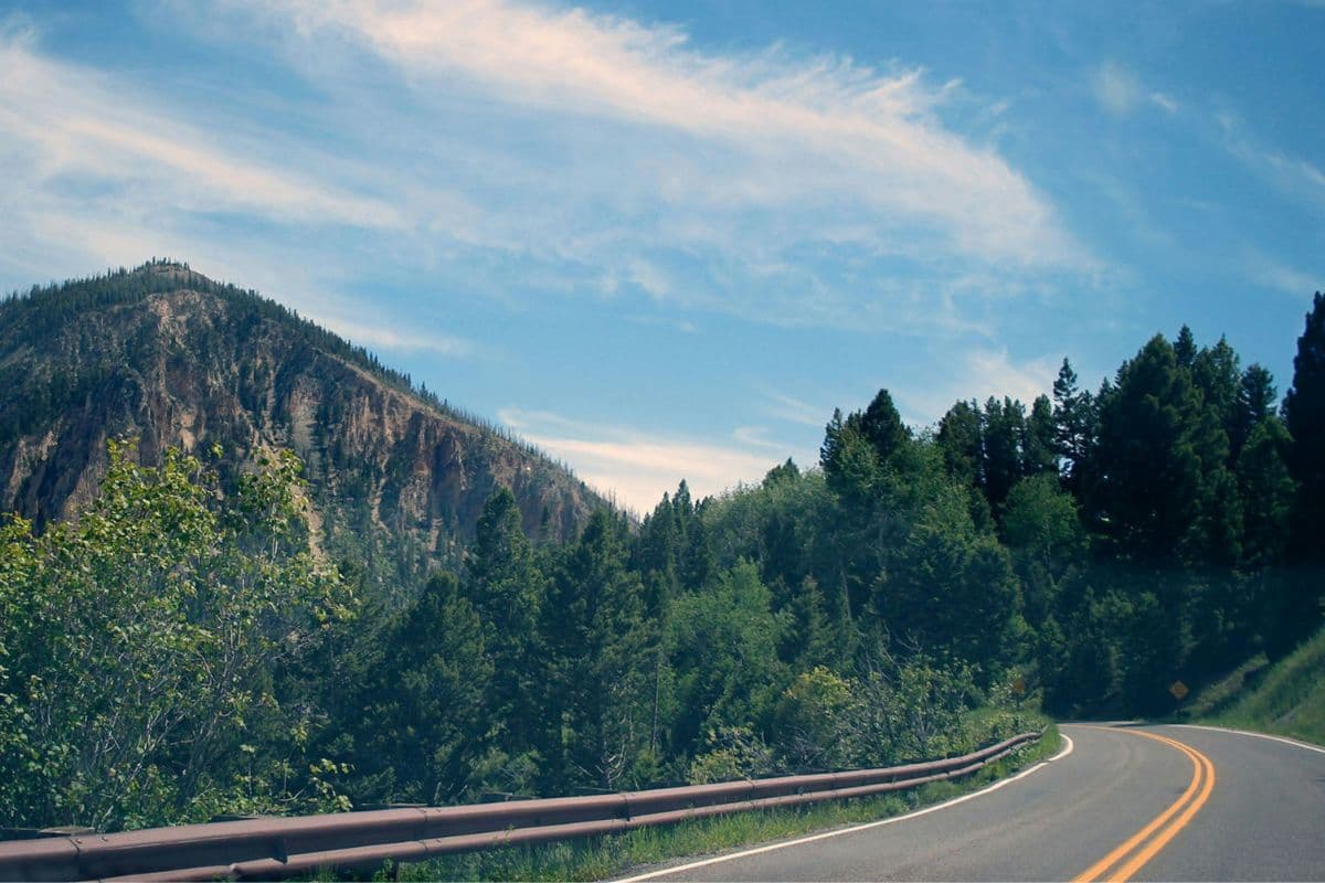 Kaimur To Gaya Road Project: 70 हजार पेड़ों ने 160 किमी लम्बी बनने वाली सड़क को रोका, चार साल पहले मिली थी प्रोजेक्ट को मंजूरी