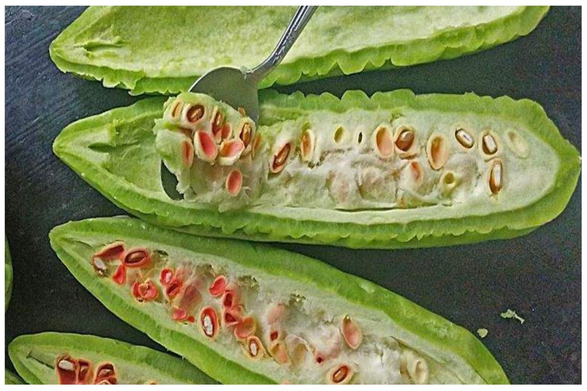 Karele Seeds: करेले के बीज खाने के 5 सबसे बड़े फायदे