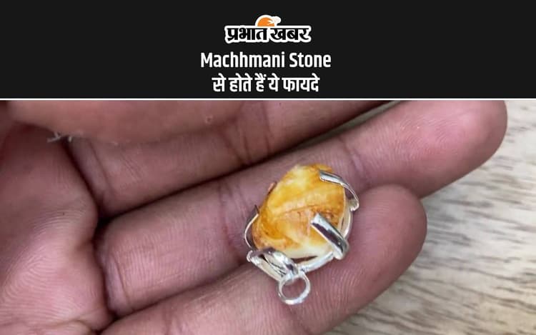 Machhmani Stone Benefits: मच्छ मणि करता है राहु की नकारात्मक शक्ति को दूर, मिलते हैं चमत्कारी फायदे