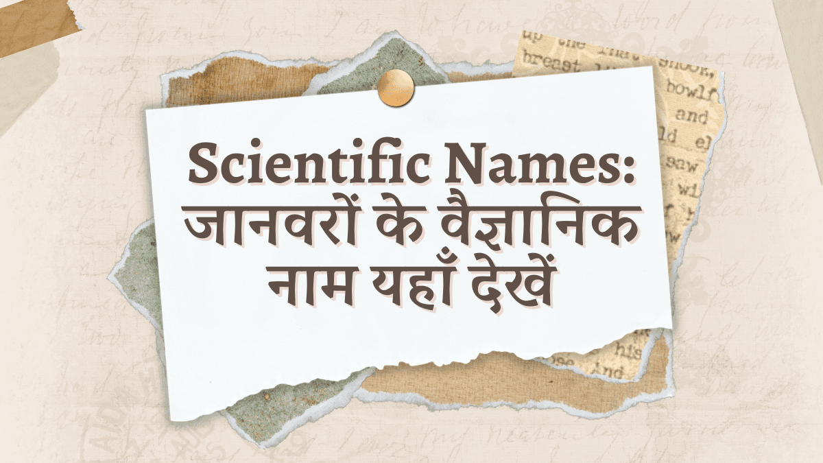 Scientific Names: जानवरों के वैज्ञानिक नाम यहाँ देखें, इससे संबंधित प्रश्न अक्सर NDA, CDS और अन्य प्रतियोगी परीक्षाओं में पूछे जाते हैं