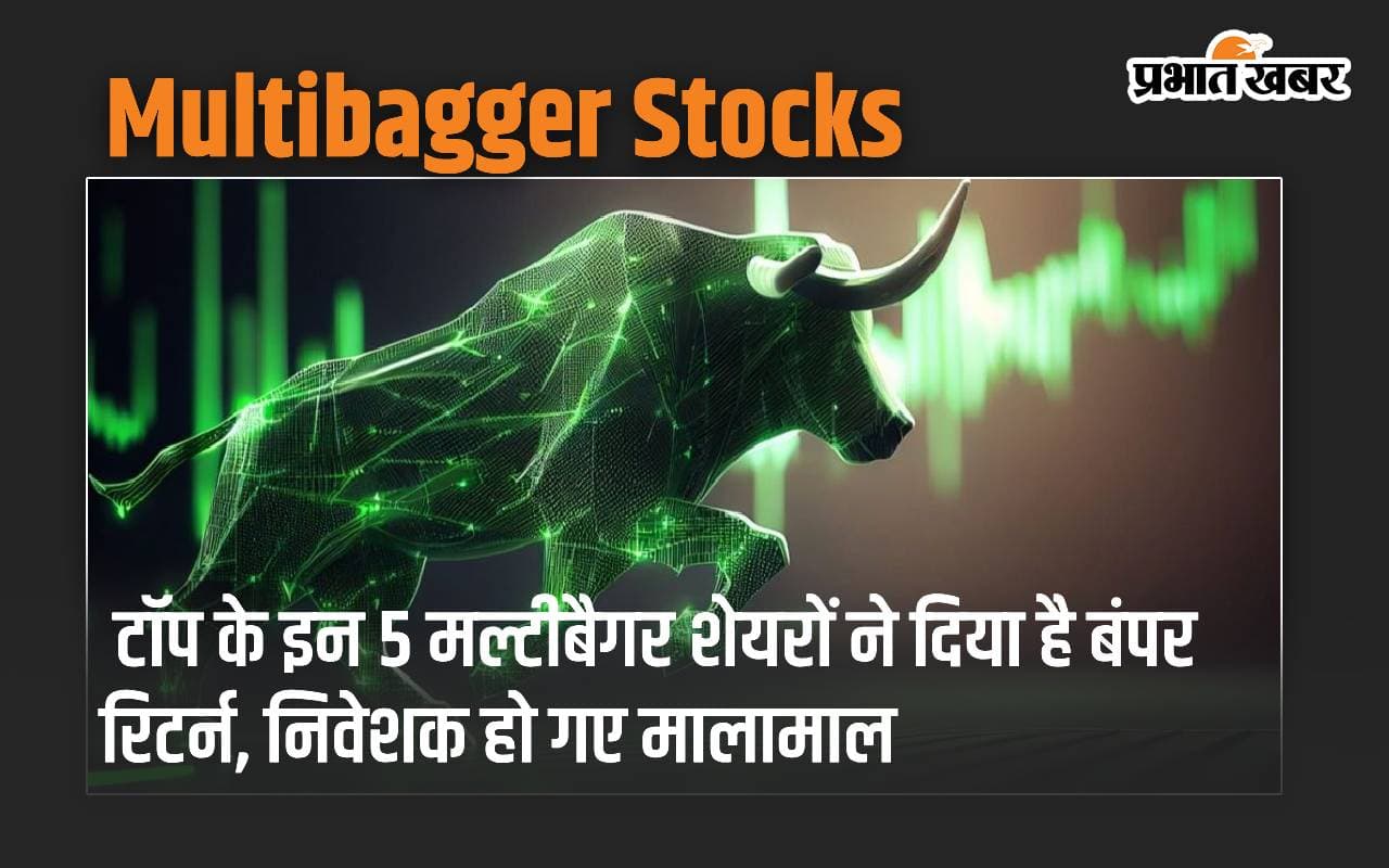 टॉप के इन 5 मल्टीबैगर शेयरों ने दिया है बंपर रिटर्न, निवेशक हो गए मालामाल