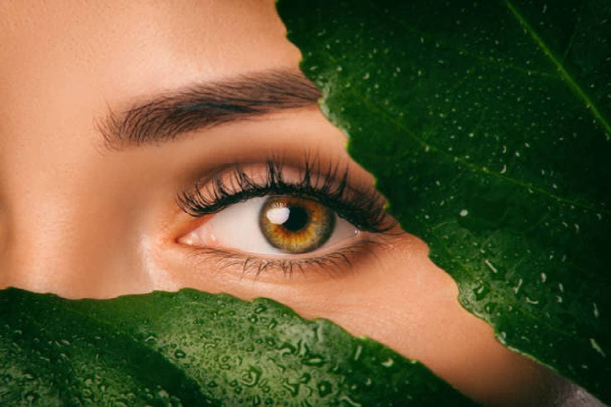 Eye Health : आंखों का स्वास्थ्य बेहतर करने के लिए 7 फूड आइटम्स