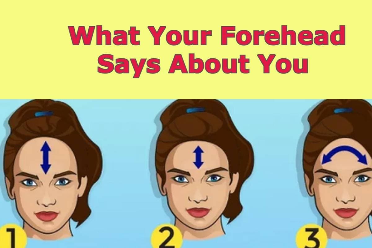 Personality Test: फोरहेड का आकार बताएगा कैसा है अपका स्वभाव, जानें अपने बारे में बहुत कुछ