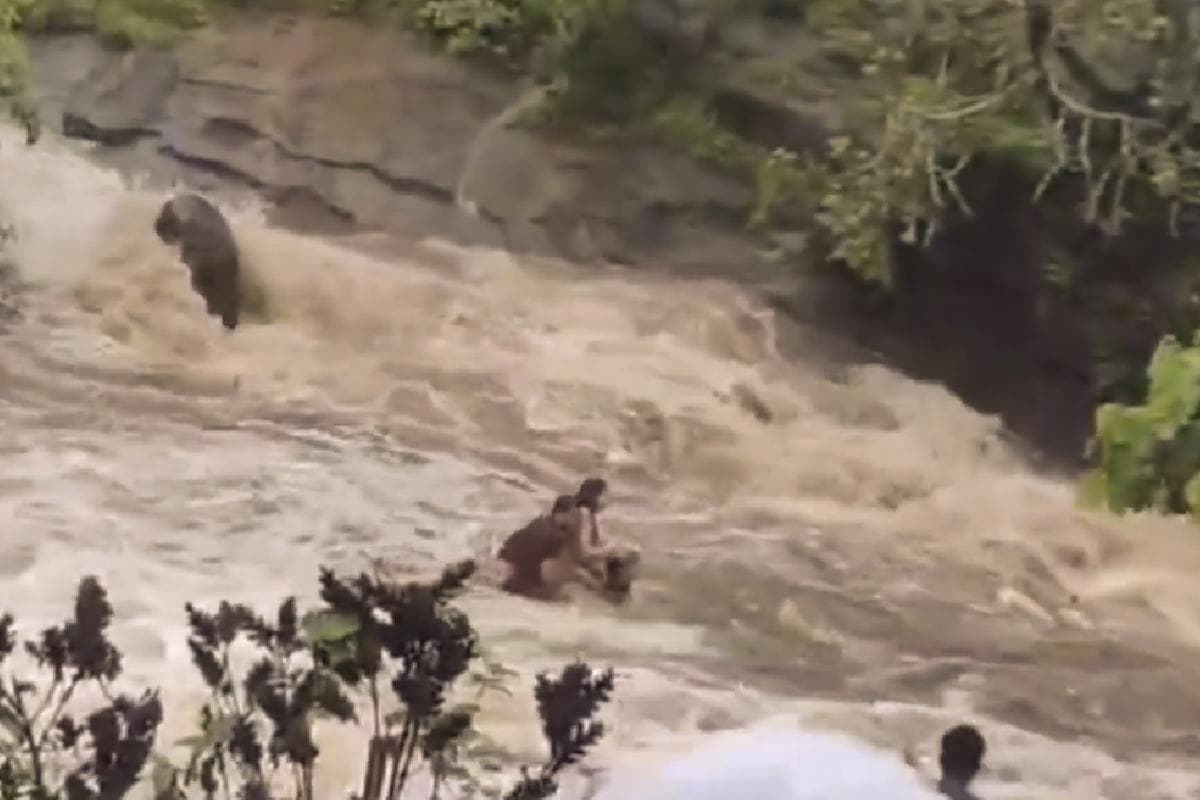 Lonavala waterfall mishap: तो भुशी बांध के झरने में बहने से बच जाता यूपी का परिवार, जानें कैसे