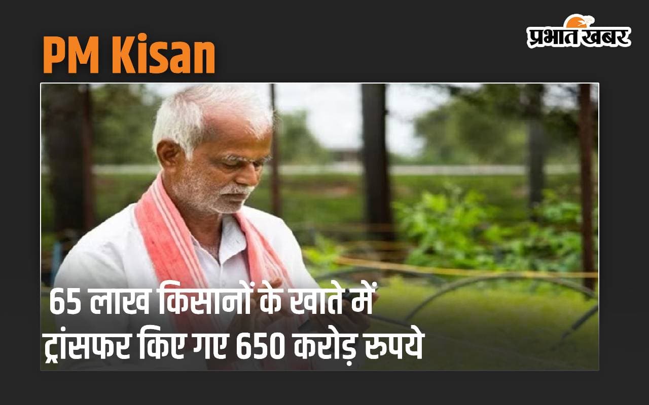 PM Kisan: 65 लाख किसानों के खाते में ट्रांसफर किए गए 650 करोड़ रुपये, जल्द चेक करें अकाउंट