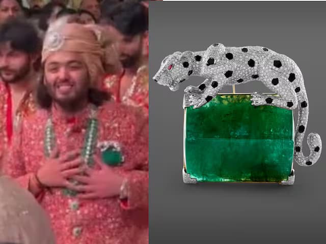 Anant Ambani Panther Brooch : अनंत अंबानी का ये पैंथर ब्रोच लगभग 1.32 करोड़ का है, ऐसा क्या खास है इस ब्रोच में, जानिए पूरी खबर