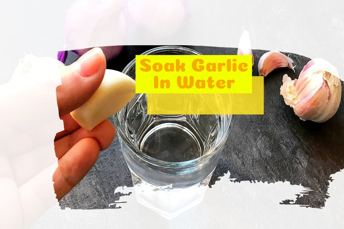 Soak Garlic In Water: पानी में लहसुन को भिगोकर खाने के 4 फायदे