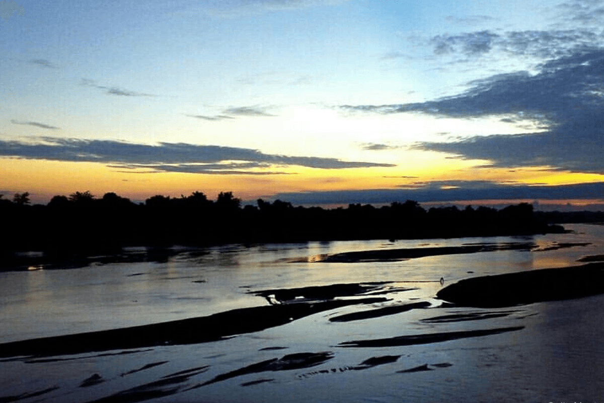 बिहार की इस नदी ने अचानक बदला रंग, मवेशी व परिंदे भी नहीं पी रहे पानी