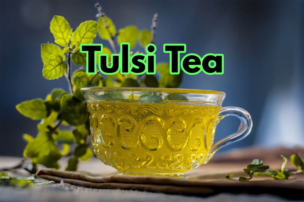 Tulsi Tea Benefits: रोज सुबह तुलसी की चाय पीने के 5 सबसे बड़े फायदे जानिए