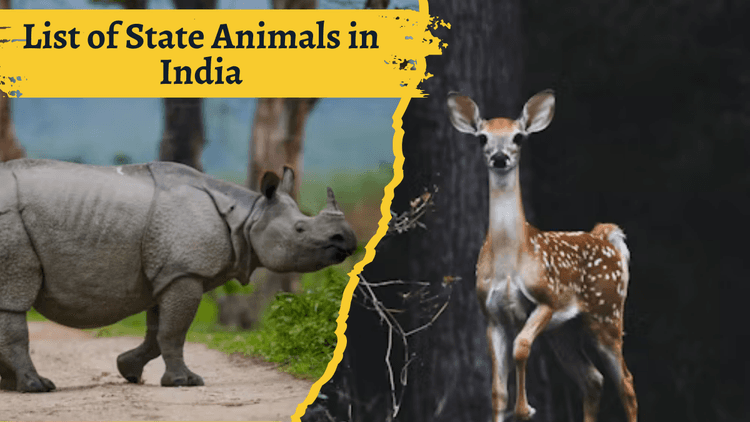 State Animals in India से संबंधित प्रश्न अक्सर BPSC, JPSC और अन्य प्रतियोगी परीक्षाओं में पूछे जाते हैं