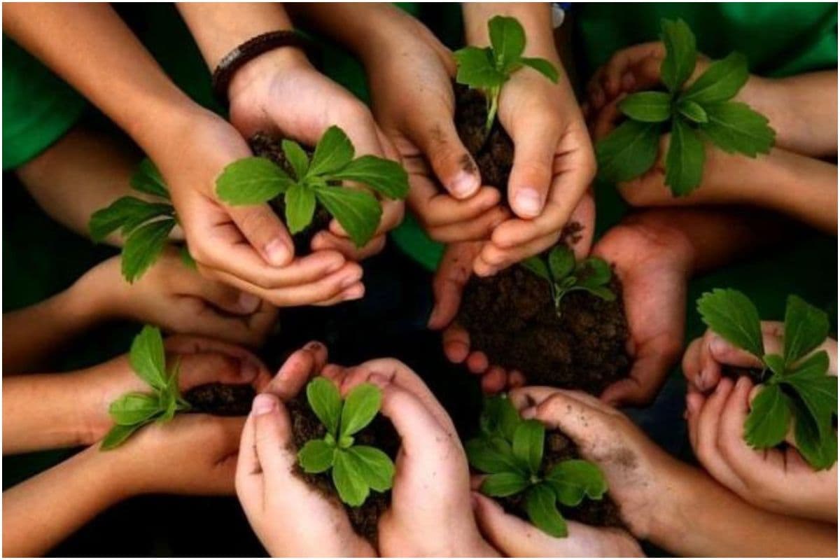 West Bengal : बंगाल में 14 से 20 जुलाई तक आयोजित होगा वन महोत्सव