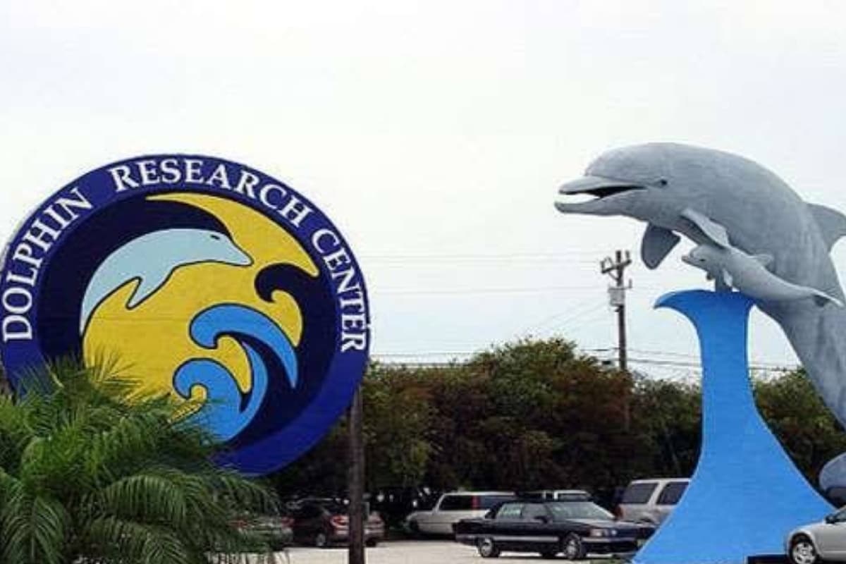 Bihar Tourism: जलीय वन्यजीवों को देखना चाहते हैं, तो चले आइए विक्रमशिला