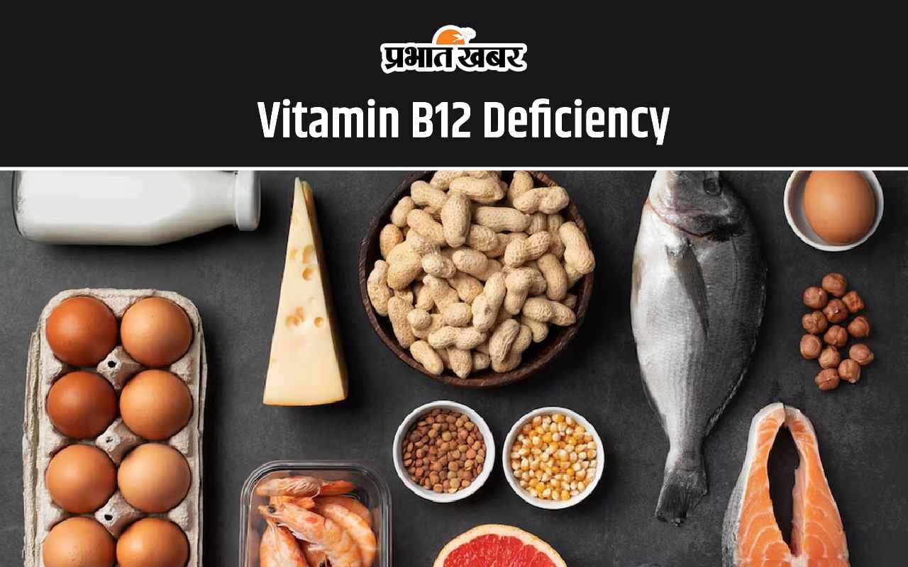Vitamin B12 Deficiency: विटामिन B12 की कमी दूर करने के लिए खाएं ये 6 सुपरफूड्स, शरीर को मिलेगी बेशुमार ताकत