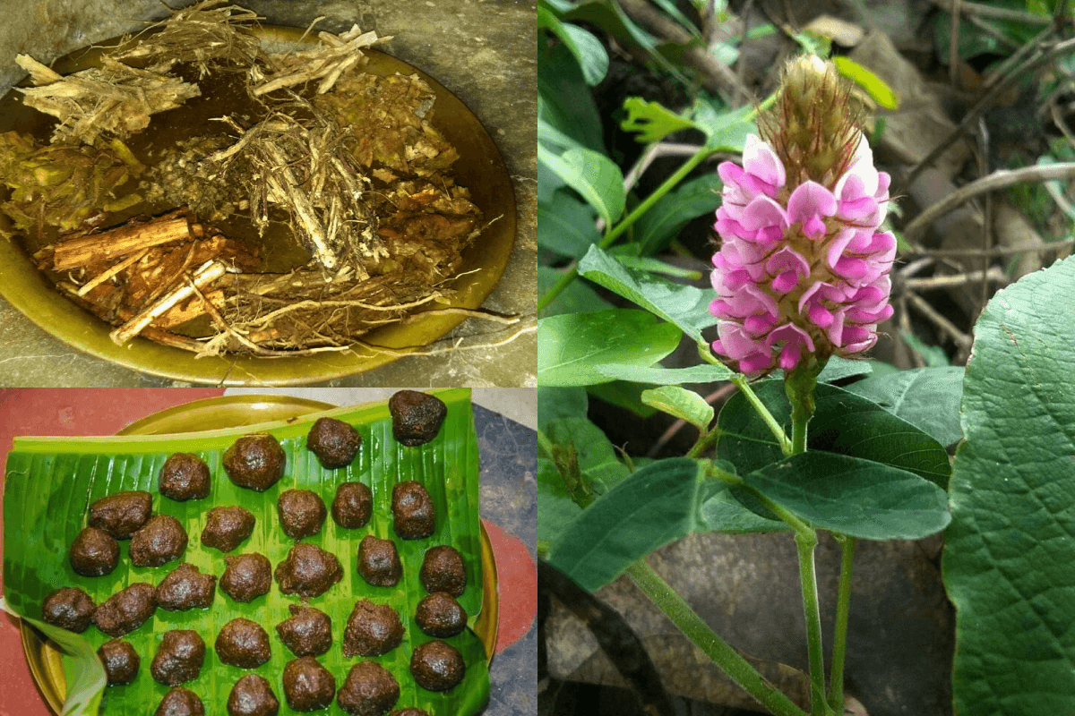 खरसावां : अत्याधिक स्नान से बीमार प्रभु जगन्नाथ का इन दुर्लभ जड़ी-बूटियों से किया जा रहा इलाज