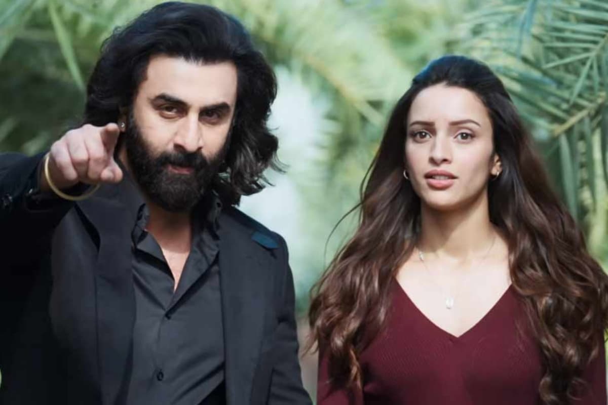 Animal Park: तृप्ति डिमरी ने एनिमल पार्क को लेकर शेयर किया बड़ा अपडेट, बोली- यह होने वाला है…