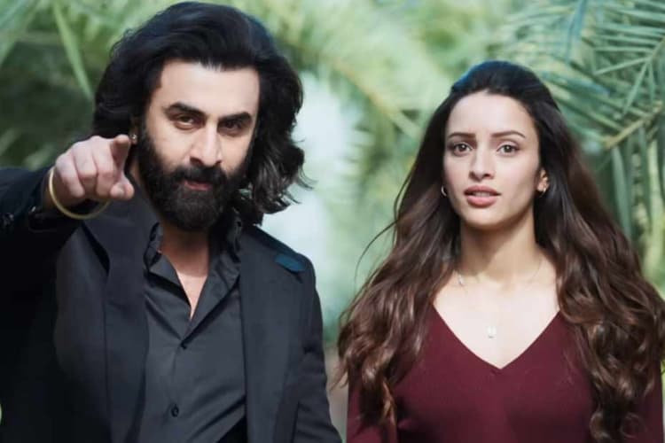 Animal Park: तृप्ति डिमरी ने एनिमल पार्क को लेकर शेयर किया बड़ा अपडेट, बोली- यह होने वाला है…