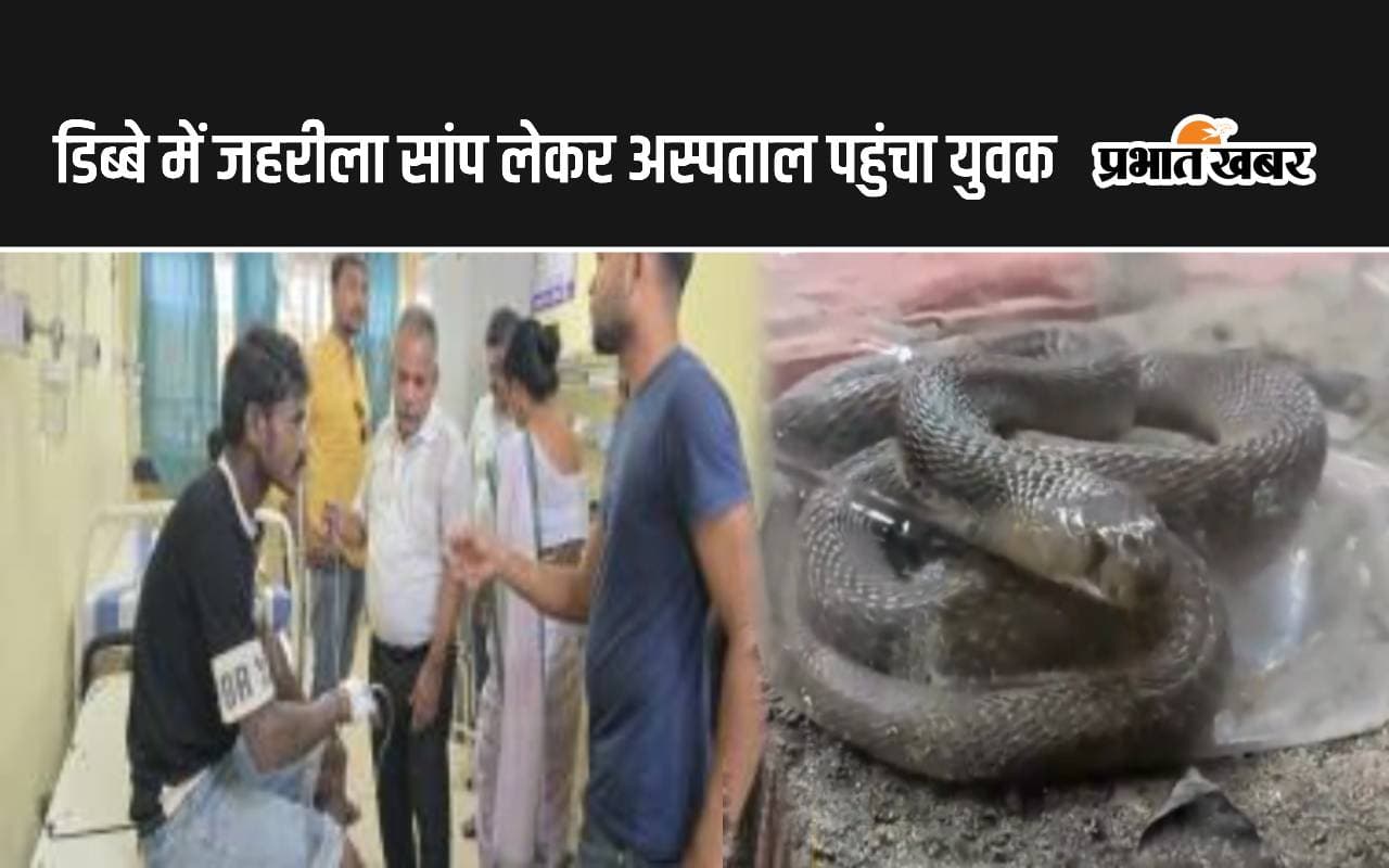 Bihar News: जिंदा जहरीला सांप लेकर अस्पताल पहुंचा युवक, इलाज के बीच झाड़-फूंक वाले बाबा के पास गया, फिर…