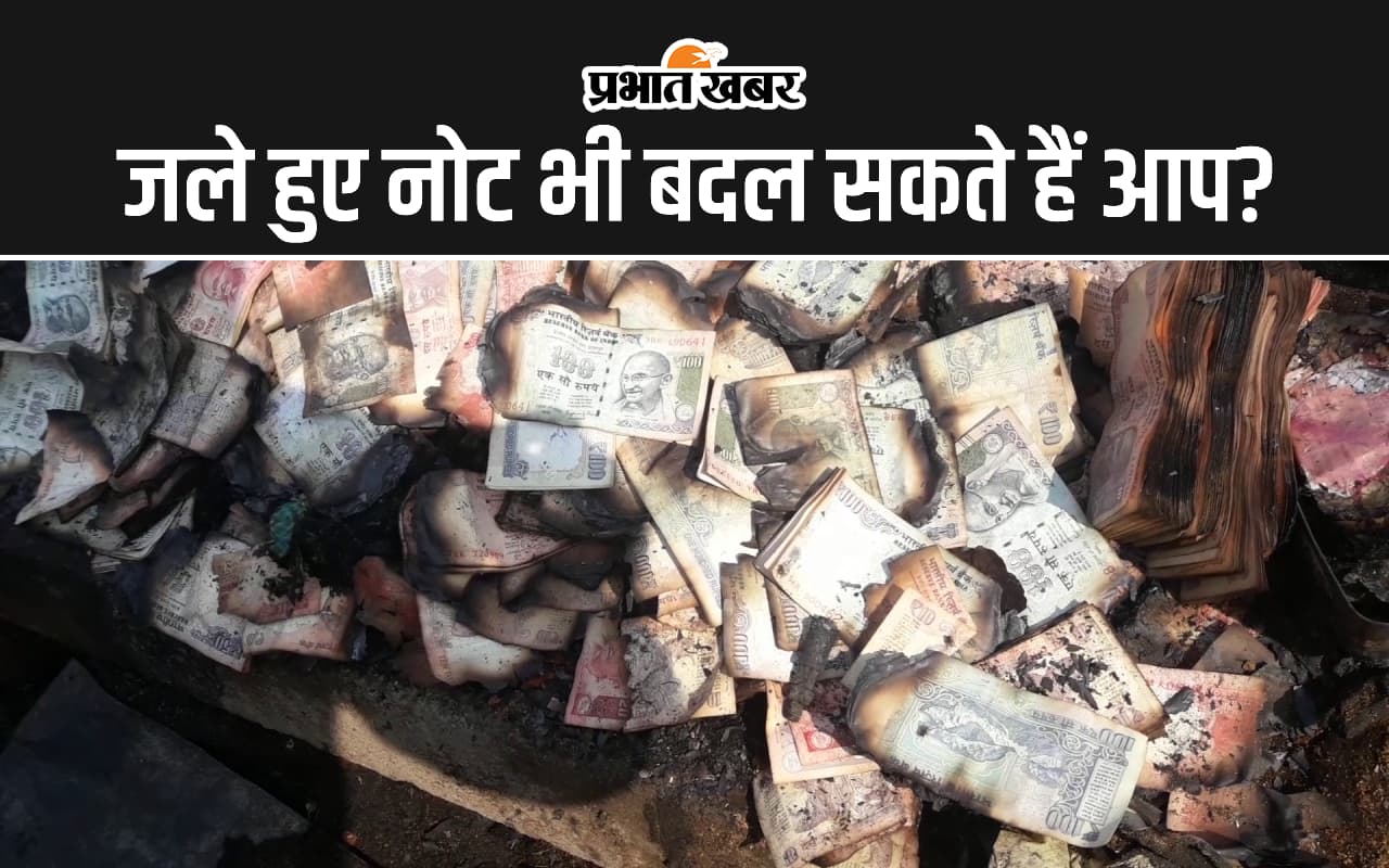 RBI : फटे नोट के अलावा जले हुए नोट भी बदल सकते हैं आप, जानें RBI के नियम