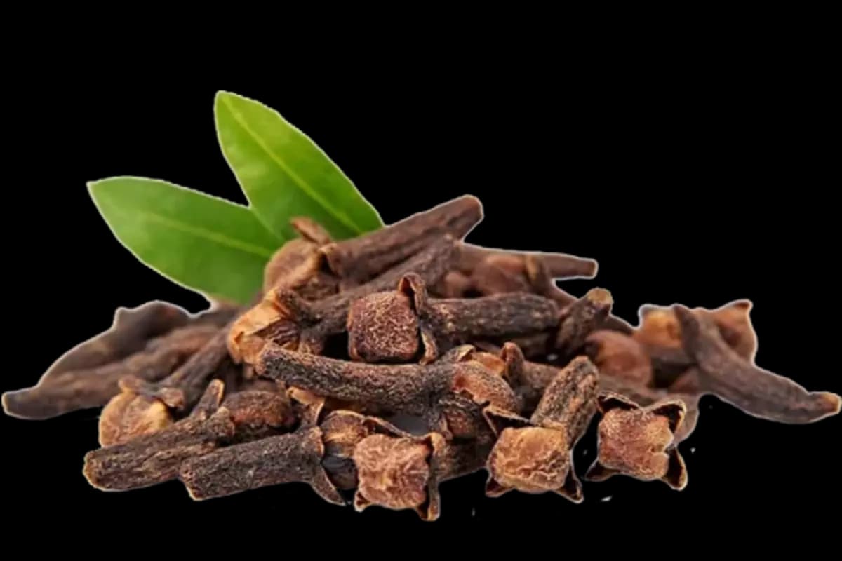 Clove Benefits : लौंग खाने से पुरुषों को मिल सकते हैं यह लाभ, जानिए इससे जुड़े कुछ फैक्ट्स.