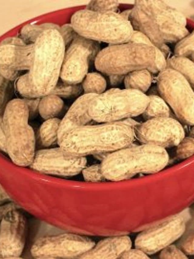 Health Tips: भुनी हुई मूंगफली खाने से कौन सी बीमारी ठीक होती है?