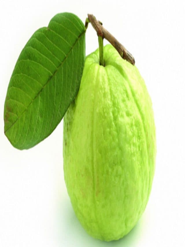 खाली पेट अमरूद खाने के फायदे