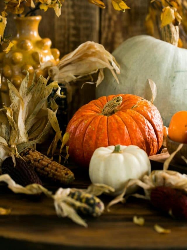 Pumpkin Benefits : कद्दू खाने के 5 लाभ.