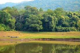 आसनबनी गांव के दलमा बुरू दिसुआ सेंदरा समिति की बैठक अध्यक्ष फकीर सोरेन की अध्यक्षता में आयोजित किया गया. बैठक में दलमा वन क्षेत्र के वन कर्मियों के द्वारा नीमडीह प्रखंड के चेलियामा पंचायत के बांधडीह निवासी ढाढू सिंह को जंगली सूअर शिकार करने के मामले में जेल भेजने के मुद्दे पर विचार विमर्श किया गया.