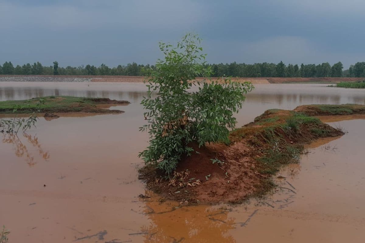 Jharkhand News: लातेहार के बनियो डैम में डूबने से दो नाबालिगों की मौत, बुझ गए दो घरों के चिराग