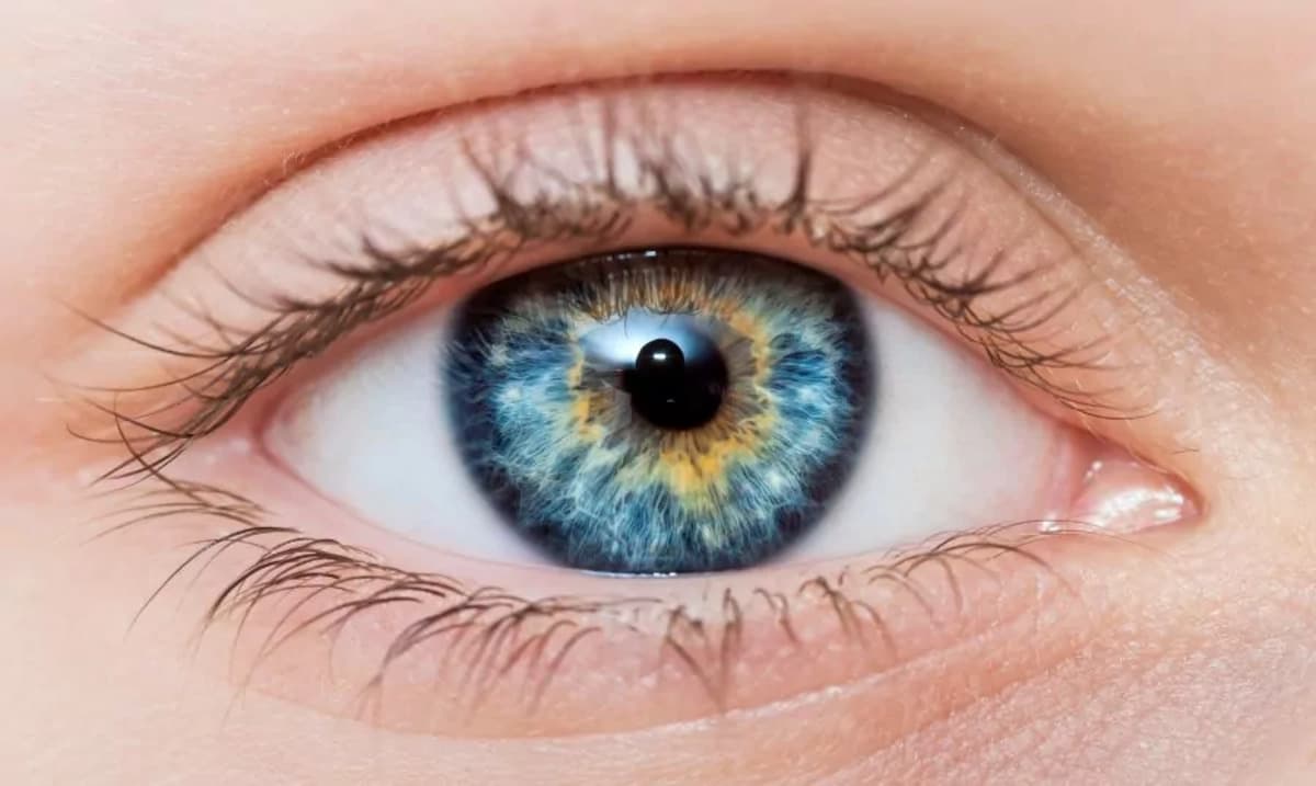 Eye Health: आंखों की रोशनी बढ़ाती हैं ये पांच एक्सरसाइज, बुढ़ापे तक नहीं लेना पड़ेगा चश्मे का सहारा